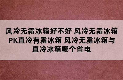 风冷无霜冰箱好不好 风冷无霜冰箱PK直冷有霜冰箱 风冷无霜冰箱与直冷冰箱哪个省电